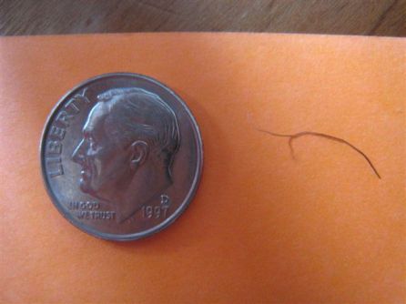 nose_dime.jpg